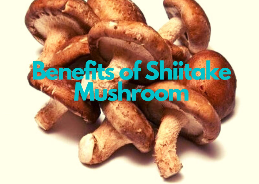 Why Shiitake Mushrooms?