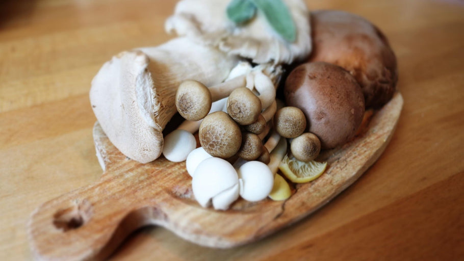 Beauty Lies Skin Deep - Benefits of Mushroom on your Skin