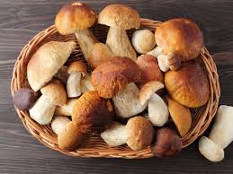 What is the healthiest type of mushroom?